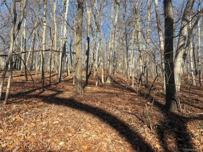 Woodhull Landing, Brookhaven, 纽约州 11764, 美国