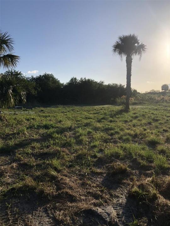 XXXX SW Amaryllis Ave, Indian Town, Floride 34956, États-Unis