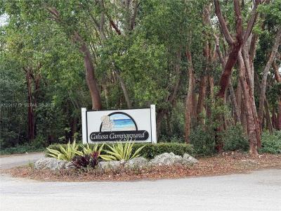 325 Calusa St, Key Largo, פלורידה 33037, ארצות הברית של אמריקה