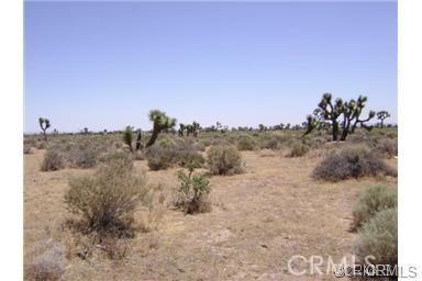 Avenue N, Palmdale, Californie 93550, États-Unis