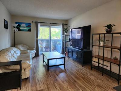 Cherry Avenue, San Bruno, Kalifornien 94066, USA