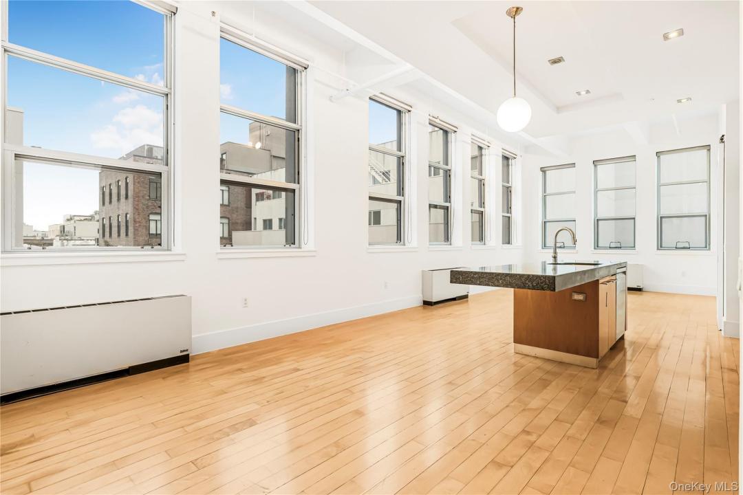 55 Berry Street, New York, New York 11249, Stati Uniti
