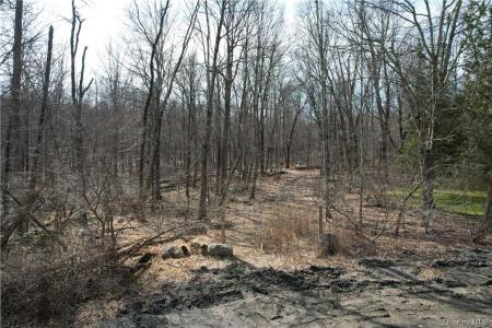 Owen Drive, Carmel, New York 10512, USA