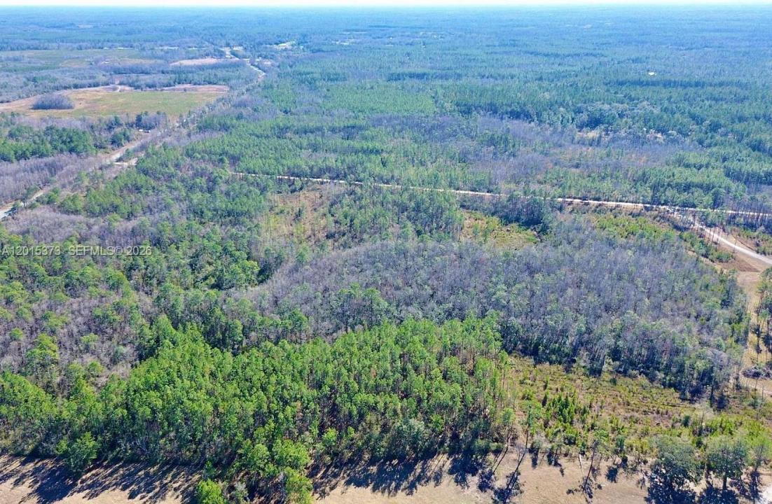SW Open Sands Loop SW Greenville, Флорида 32331, Соединенные Штаты