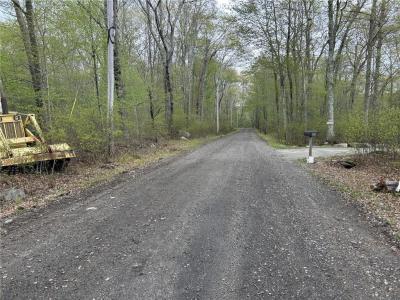 Central Pike, Foster, Rhode Island 02825, Estados Unidos