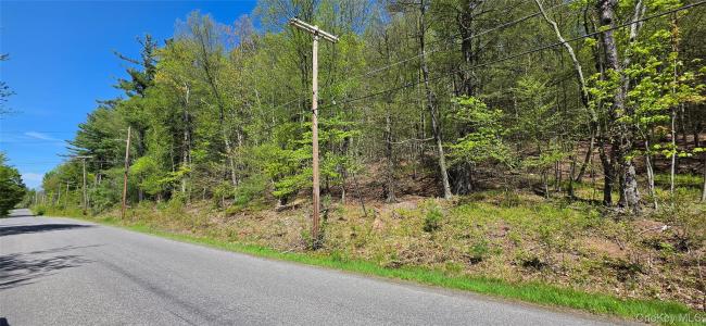Hamilton Road, Thompson, New York 12701, Amerika Birleşik Devletleri