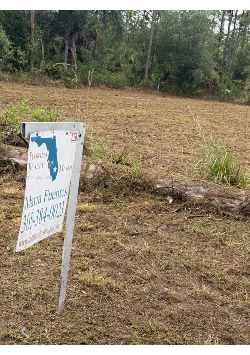 1243 Raphael E, Lehigh Acres, Florida 33974, Amerika Birleşik Devletleri