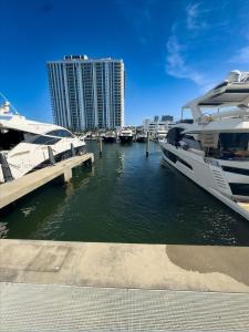 17111 Biscayne Blvd, North Miami Beach, فلوريدا 33160, الولايات المتحدة
