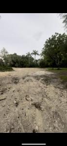 7396 SW 79th Court, Miami, Florida 33143, USA
