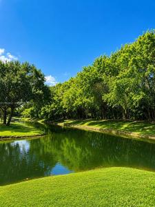 439 Lakeview Dr 106, Weston, Florida 33326, USA