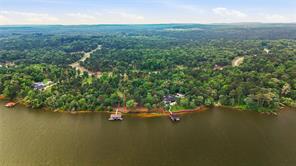 3150 Shadow Pine Drive, Larue, Texas 75770, USA