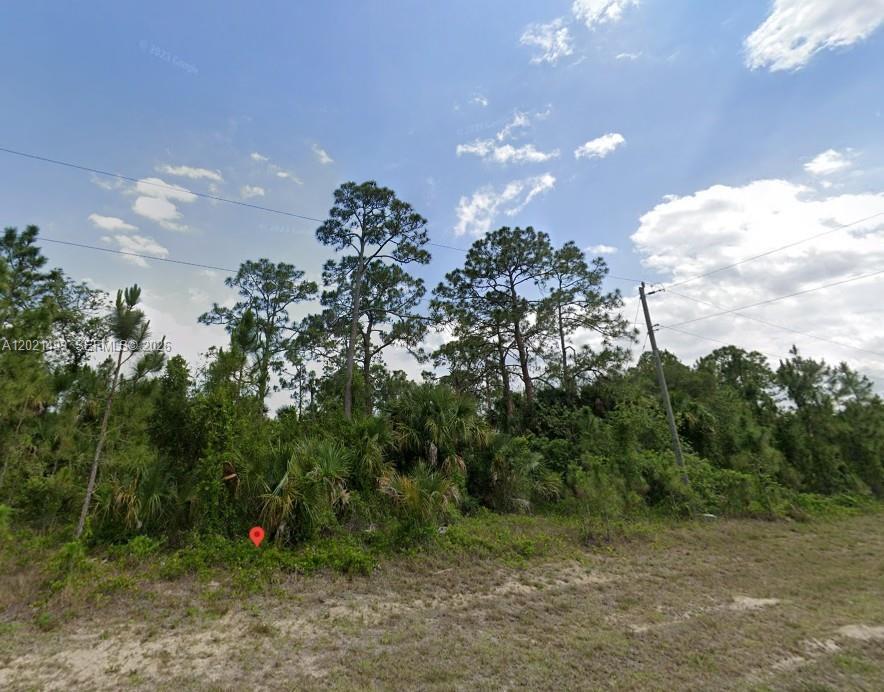 5010 NE TRADEWINDS CIRCLE, La Belle, Floryda 33935, USA