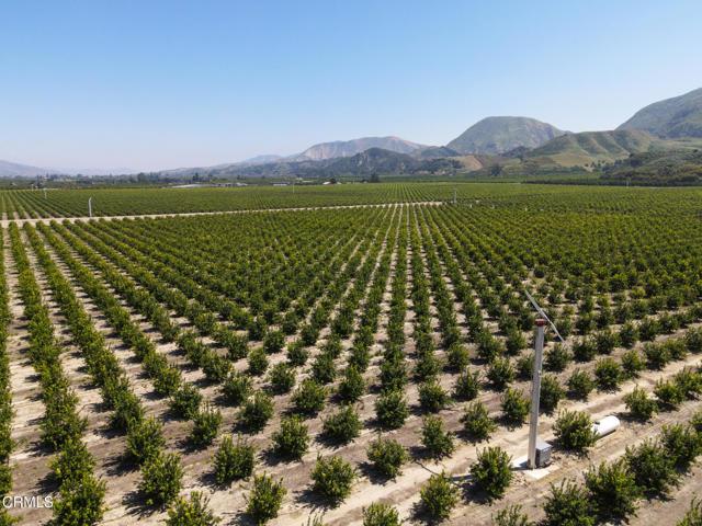 South Mountain Road, Fillmore, California 93015, Stati Uniti