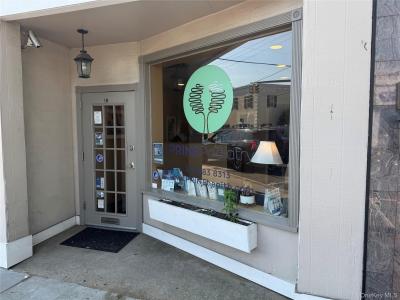 36 Main Street, North Hempstead, New York 11050, Stati Uniti