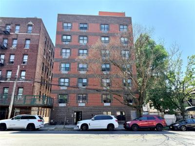 772 E 182nd Street, New York, New York 10460, Amerika Birleşik Devletleri