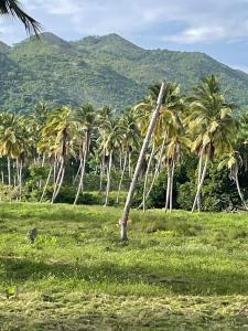 SAMANA, SANCHEZ-LOS ROBALOS, Florida, USA
