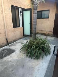1115 SW 136th Pl 2, Miami, Florida 33184, USA