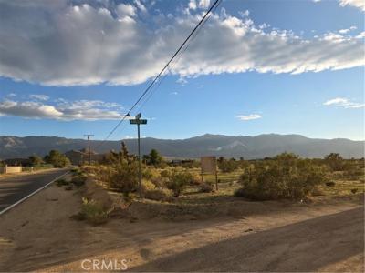 Trade Post, Lucerne Valley, Californie 92356, États-Unis