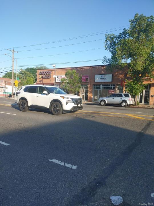 251-16 Hillside Ave, New York, New York 11426, Stati Uniti