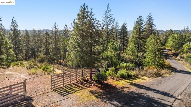 Forest Park Rd, Columbia, California 95310, Stati Uniti