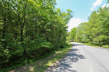 TBD Bristol Hill Road, Hurley, New York 12443, États-Unis