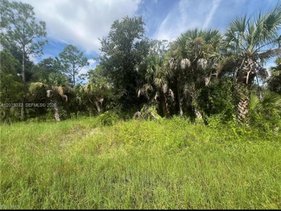 441 Admiral St, Port Charlotte, فلوريدا 33954, الولايات المتحدة