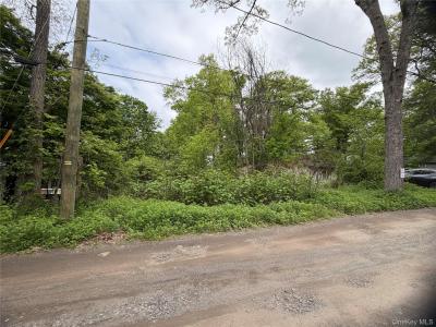 48 Paradise Trail, Blooming Grove, 뉴욕 10914, 미국