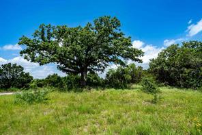 Fm 203, Glen Rose, Texas 76043, USA