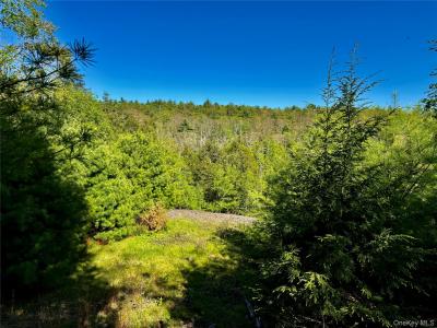 101 Stone Road, Hurley, New York 12491, États-Unis