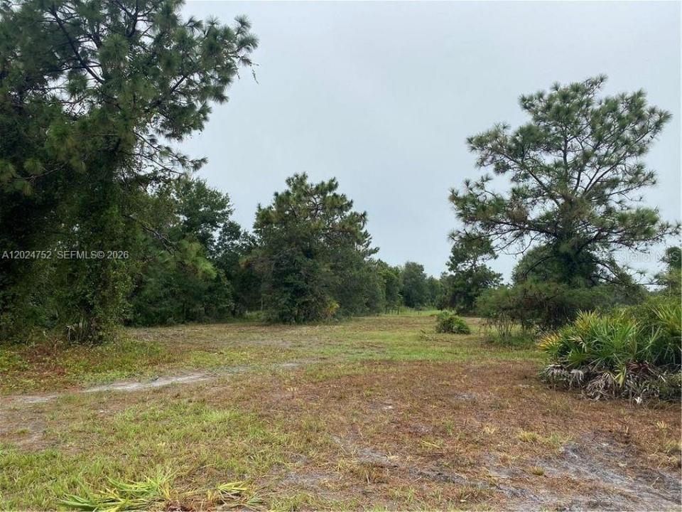 1525 N HIGHWAY 17, Unincorporated Dade County, Florida 34266, Stati Uniti