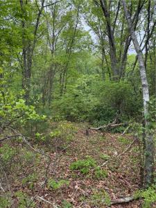 14 FALLON Trail, Westerly, Rhode Island 02891, USA