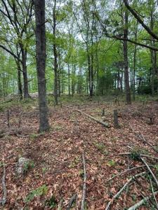 12 Fallon Trail, Westerly, Rhode Island 02891, USA
