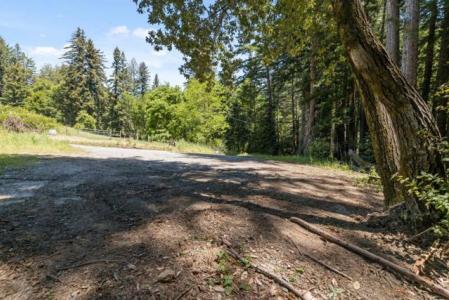 Branson, Boulder Creek, Kalifornia 95006, USA