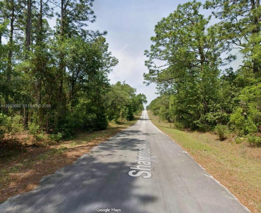 Lot 47 Shamrock Avenue, Floride 34431, États-Unis