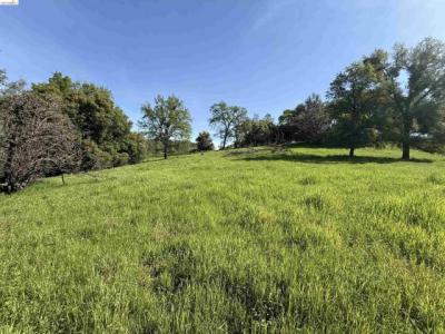Wilcox Ranch Road, Sonora, Californie 95370, États-Unis
