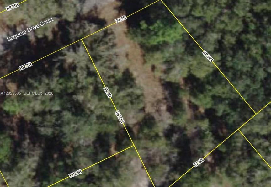 Lot 14 Sequoia Drive Court, Ocala, Floride 32179, États-Unis
