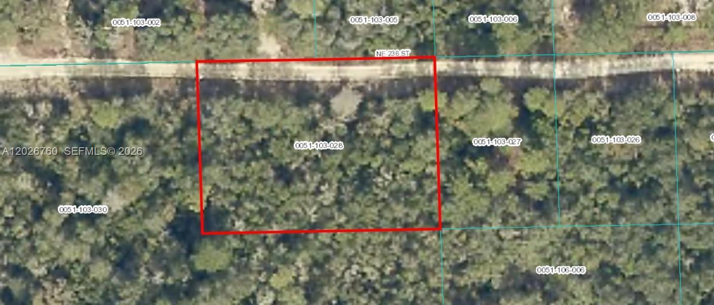TBD NE 236, Florida 32134, Stati Uniti