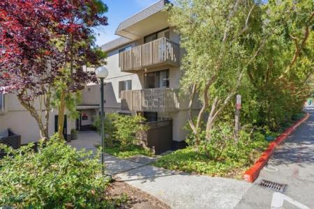Shelter Creek Lane, San Bruno, Kalifornien 94066, USA