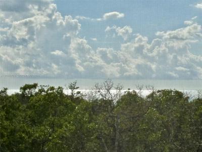 5 Bluebill 403, Naples, Florida 34108, USA