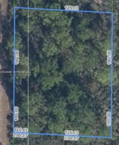 1139 BROOK HOLLOW RD, Lake Placid, Floride 33852, États-Unis