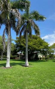19505 SW 272nd St, Homestead, פלורידה 33031, ארצות הברית של אמריקה 