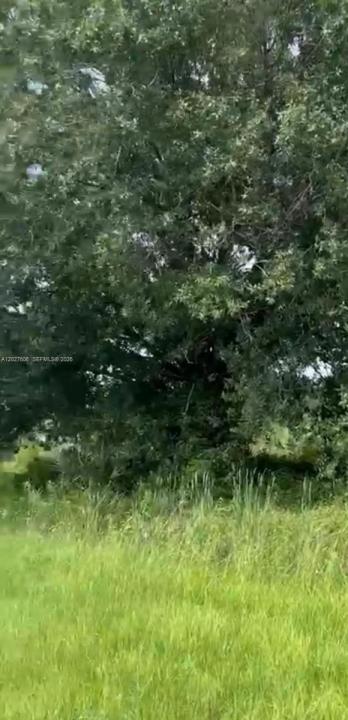 845 N Arboleda st Montura Ranches, Clewiston, Florida 33440, Stati Uniti