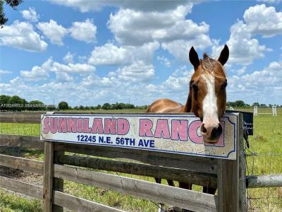 12245 NE 56th Ave, Okeechobee, Floride 34972, États-Unis