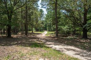 Pvt. Rd 8079 Road, Ben Wheeler, Texas 75754, USA