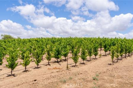 Kiler Canyon, Paso Robles, Kalifornien 93446, USA