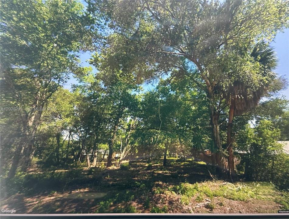 4043 E Dano, Inverness, Florida 34453, Amerika Birleşik Devletleri