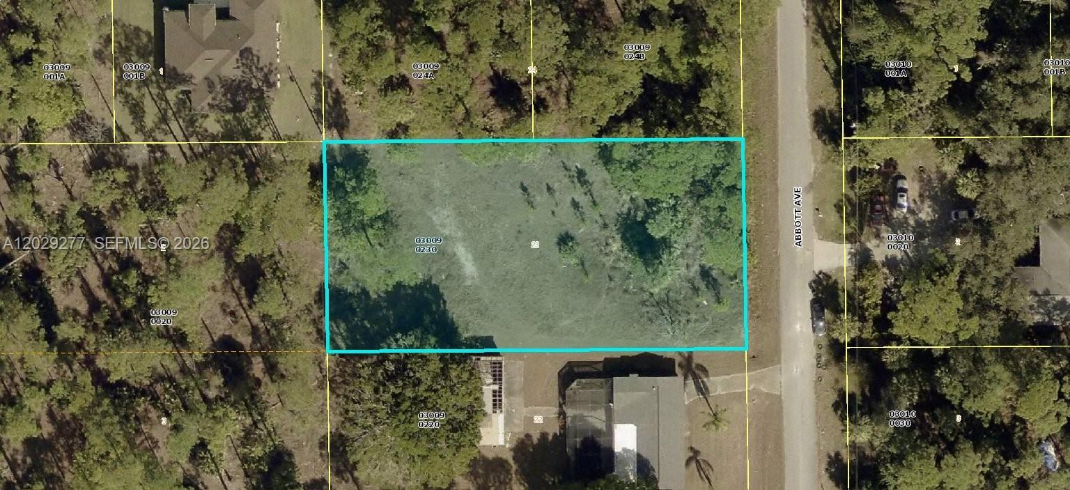 821 Abbott Ave., Lehigh Acres, 플로리다 33972, 미국