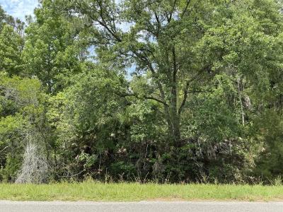 5020 Stephen Street, Hastings, Florida 32145, Stati Uniti