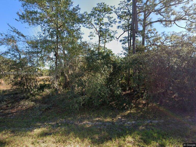 1334 ST Augustine Court, Floride 34759, États-Unis