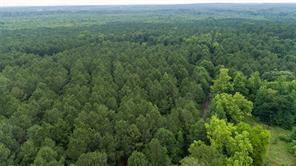 CR 4510, Pittsburg, Texas 75686, États-Unis
